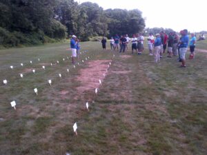 row of hard fescue entries