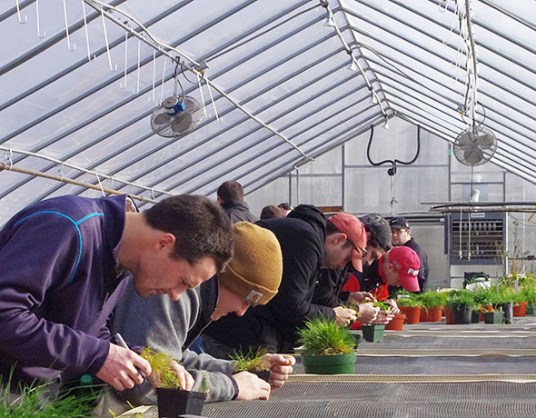 People inspecting potted plants inside a greenhouse.