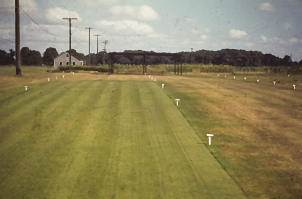 Vintage photo of turf plots.