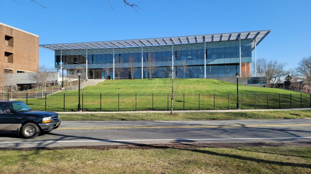 Spring green-up initiated on a tall fescue lawn.