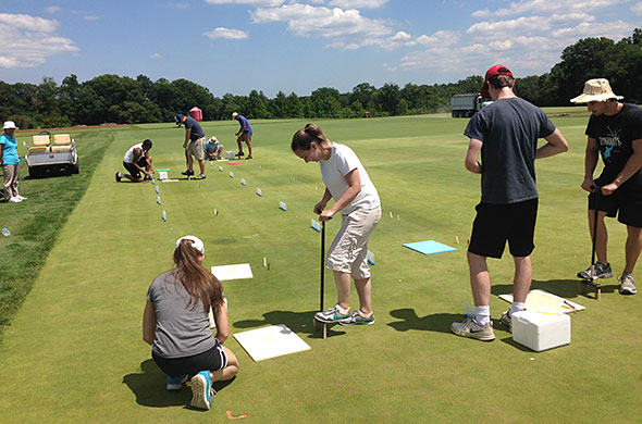 Researchers taking samples in a turf plot.